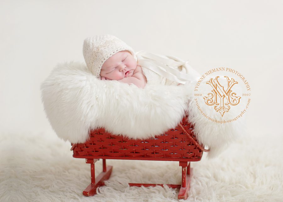 winter newborn photos
